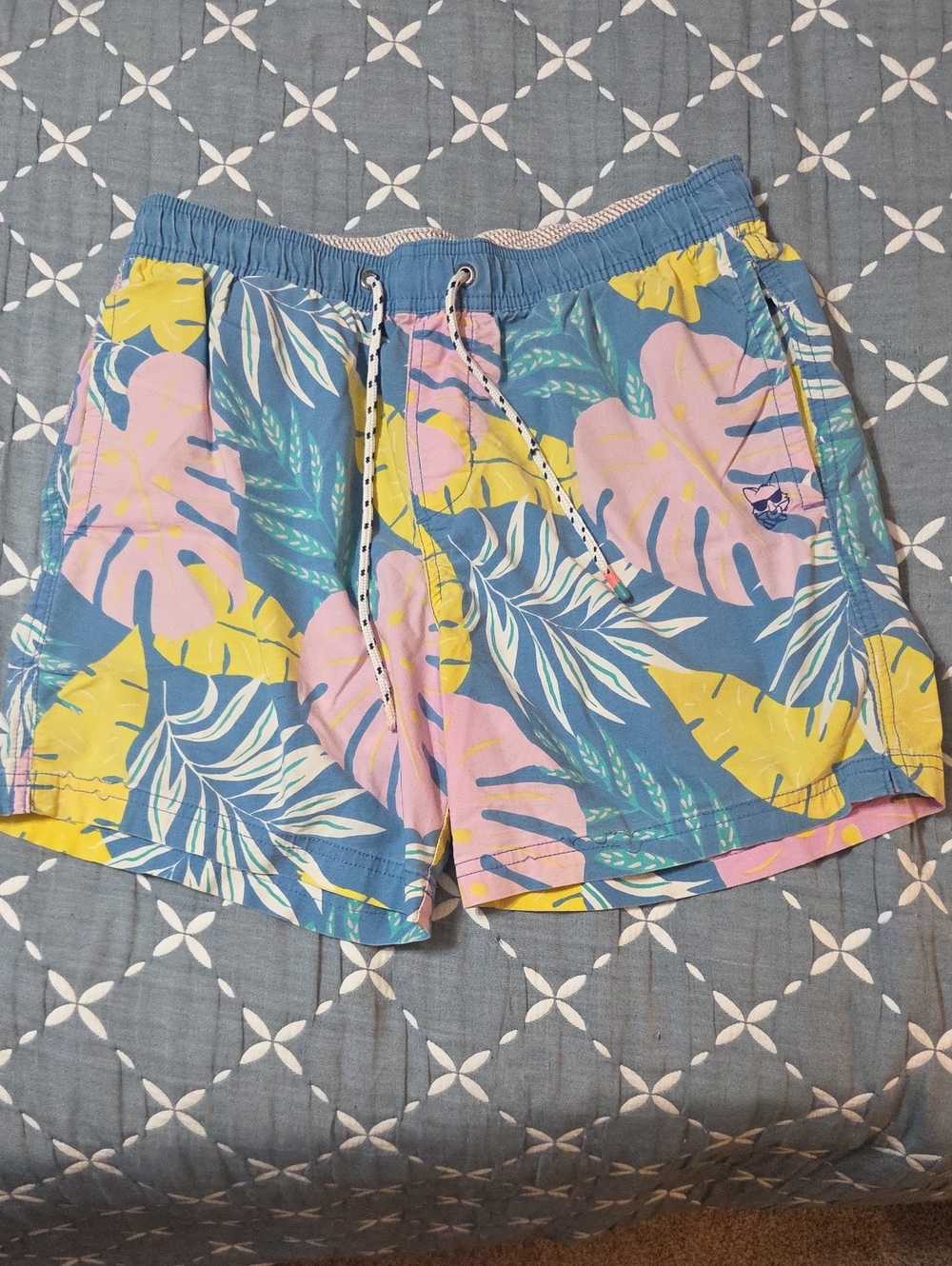 Party Pants Mens Swim Shorts